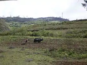 Campesino cerca de Leymebamba.