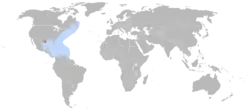 Distribución de la tortuga bastarda (en azul) y principales playas de nidificación (en rojo)