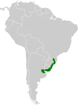 Distribución geográfica de la pajonalera piquirreta.