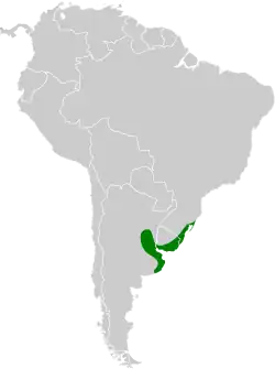 Distribución geográfica de la pajonalera piquicurva.