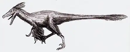 Linheraptor exquisitus.