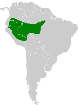 Distribución geográfica del tapaculo amazónico.