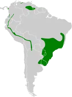 Distribución geográfica del riachuelero.