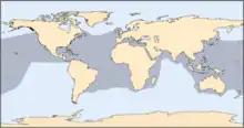Un mapa del área de distribución de la tortuga boba, cubriendo el océano Atlántico, Pacífico e Índico y el mar Mediterráneo