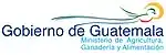 Logotipo durante la presidencia de Alejandro Maldonado (2015-2016)