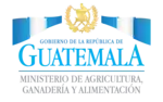 Logotipo durante la presidencia de Jimmy Morales (2016-2020)