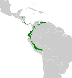 Distribución geográfica del cimerillo andino.