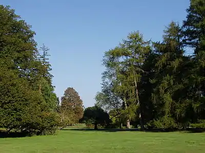 Una vista desde el parque delantero