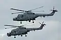 Los Black Cats en el Royal International Air Tattoo de 2009.