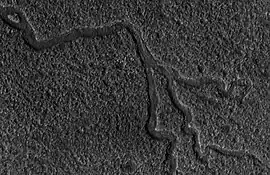 Detalle de un canal y sus ramificaciones en el Cráter Lyot