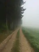 El camino bajo la niebla matinal a la salida de Beialf.