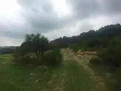 Tramo del camino cerca de Dasburg.