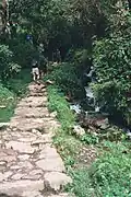 Caminos en dirección a Machu Picchu, Perú.