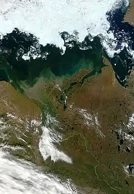 Canadá, delta del río Mackenzie que desemboca en el Mar Ártico.