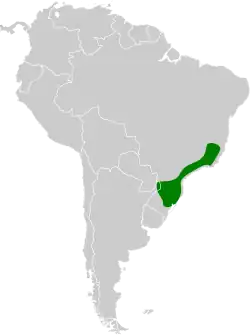 Distribución geográfica del chotacabras coludo.