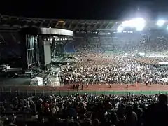 Parte de la audiencia en Italia durante The MDNA Tour