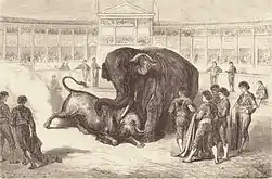 Combate entre un toro y un elefante, para L'Espagne (1862-3) de Charles Davillier.