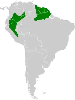Distribución geográfica del buco pechiblanco.