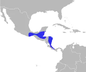 Distribución geográfica del saltarín cuelliblanco.