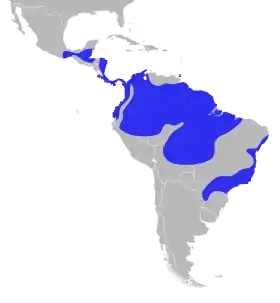 Distribución geográfica del género Manacus.