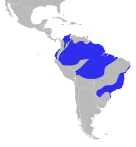 Distribución geográfica del saltarín barbiblanco.