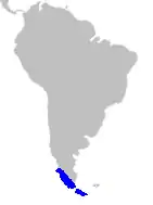      Distribución de Philesiaceae