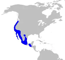 Distribución de los miembros de Brodiaeoideae