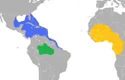 Distribución geográfica de las tres especies de manatíes