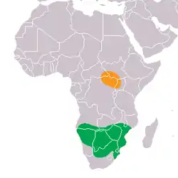 Distribución del rinoceronte blanco, naranja: C. s. cottoni, verde: C. s. simum.