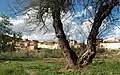 Mas de Jacinto (Castielfabib), paisaje rural.