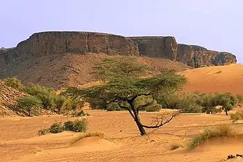 Montañas en la región de Adrar; los paisajes desérticos definen Mauritania.