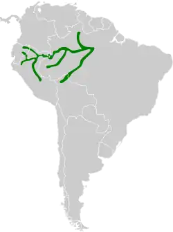 Distribución geográfica del pijuí ventriblanco.