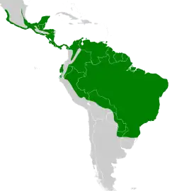 Distribución geográfica del bienteveo pitanguá.