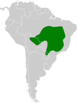 Distribución geográfica del pecholuna brasileño.