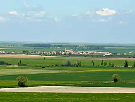 Meneses en mitad de la Tierra de Campos, visto desde Montealegre.