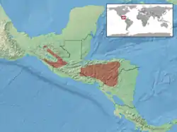 Distribución de A. moreletii