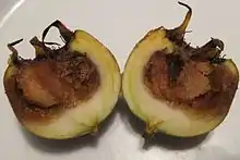 Fruit cut in half showing brown 'bletting' which makes it edible