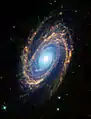 Imagen infrarroja de M81 por el Spitzer.