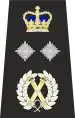 Metropolitan Police Deputy Commissioner of the Metropolis Epaulette