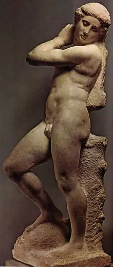 Michelangelo, apollino 01