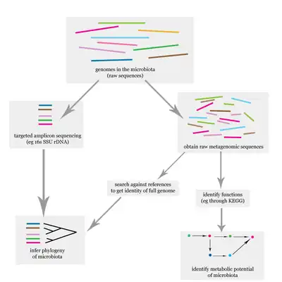 Diagrama de flujo de análisis de microbioma