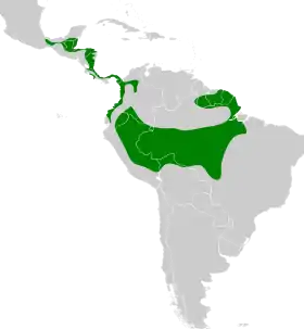Distribución geográfica del hormiguerito del Quijos.