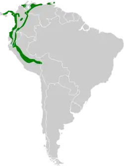 Distribución geográfica del mosquero rayadito.