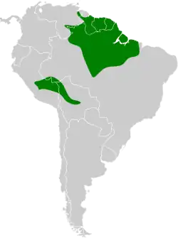 Distribución geográfica del mosquero de McConnell.