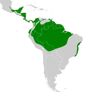 Distribución geográfica del mosquero aceitunado.