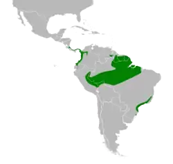 Distribución geográfica de la familia Mitrospingidae.