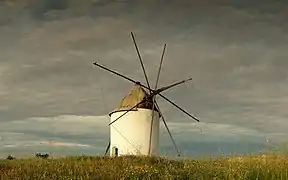 Molino de la tía Jarapa, en Cuesta Blanca.