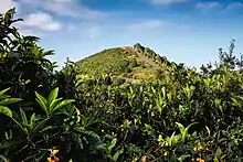 Montaña de la Breña.