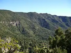 Monte de Aguirre.