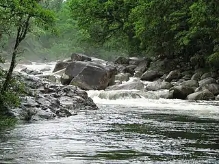 Río Mossman  durante la estación húmeda.
